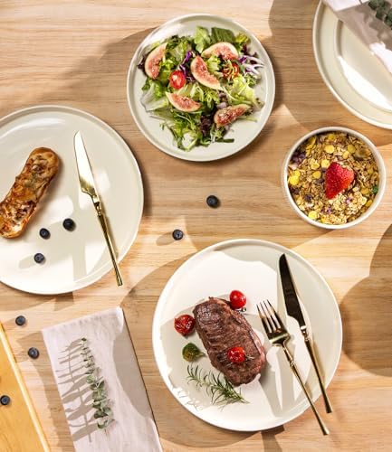 TheTerra Ceramic Dinnerware Set for 4, 12-Piece Plates and Bowls Set
