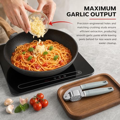 Stainless Steel Garlic Press, Mincer and Ginger Crusher