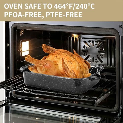 Roasting Pan 21 Inch with Lid Turkey Baster and V Rack,25lb Capacity