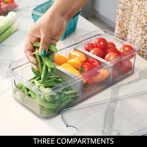 iDesign Recycled Plastic Crisp Large Divided Fruit and Vegetable