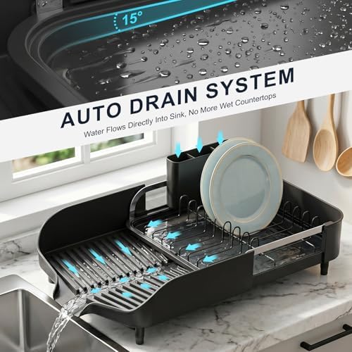 PULIDIKI Expandable Dish Drying Rack for Kitchen Counter