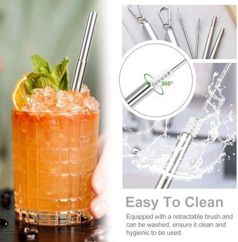 Collapsible Metal Drinking Straws, 2 Packs Telescopic Straw With Case