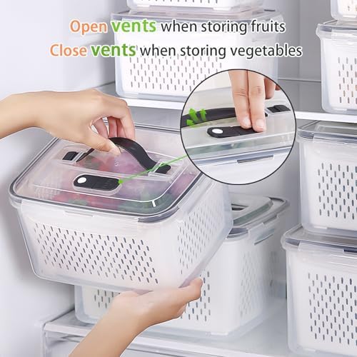BOICHU Fruit Storage Containers with Colander, Vent, Handle Lids