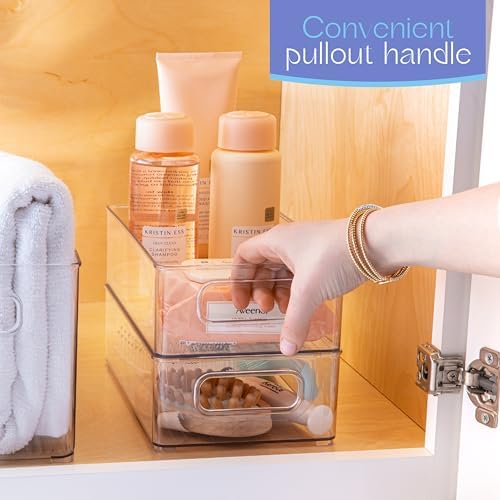 Plastic Food Storage 2 Pack Clear Container Bin with Handles for