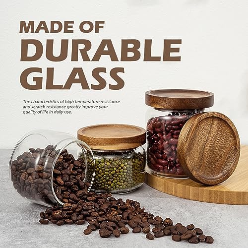 2PCS Small Glass Storage Jars with Airtight Lids, 17 fl oz (500ml)