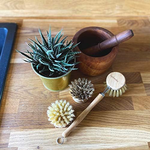 eplanita Natural Dish Brush with 3 Replacement Heads
