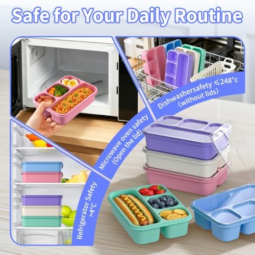 Bento Box 5-Pack, 4-Compartment Lunch Box for Women, Men & Kids
