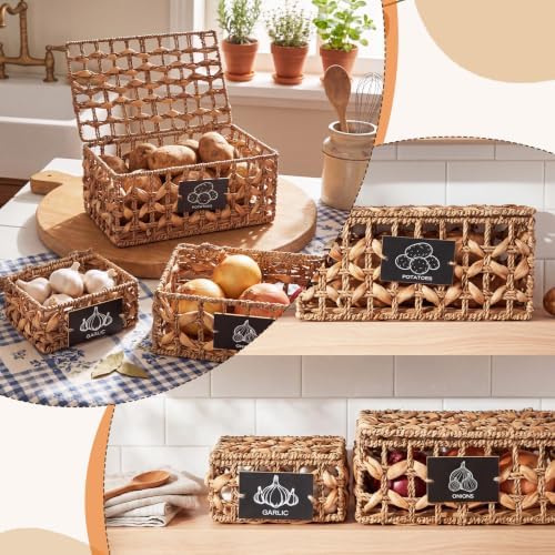Blushtier Potato Onion Garlic Storage Bins with Lid for Kitchen