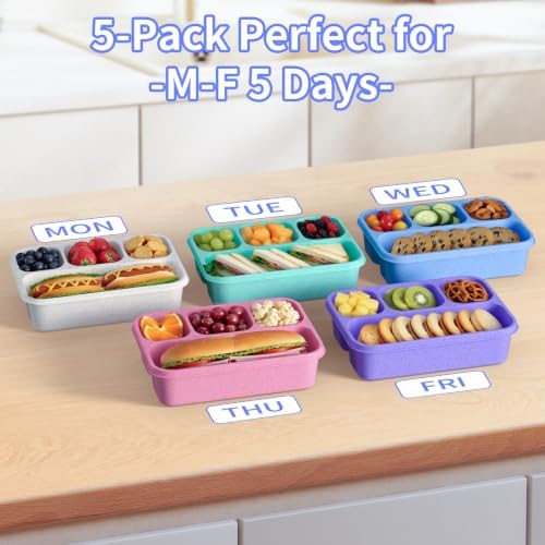 Bento Box 5-Pack, 4-Compartment Lunch Box for Women, Men & Kids