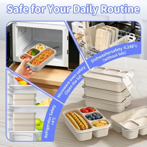 Bento Box 5-Pack, 4-Compartment Lunch Box for Women, Men & Kids