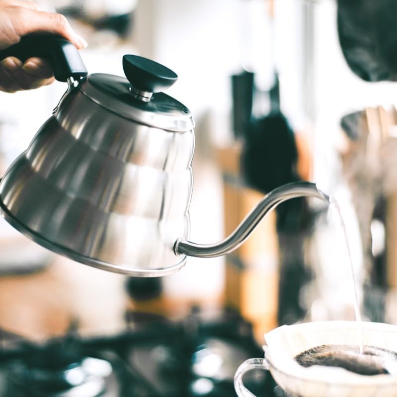 Hario V60 Buono Stainless Steel Drip Kettle, 1.2L