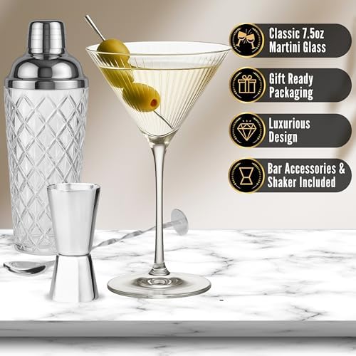 VEMACITY Silver Cocktail Shaker Set + 2 Ribbed Martini Glasses & Bar