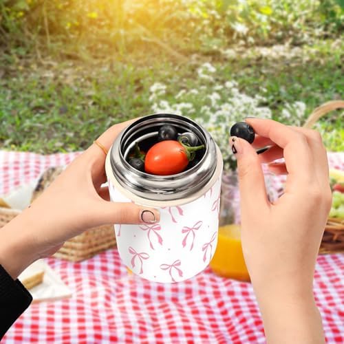 Insulated Food Jar 17 oz Stainless Steel Hot Food Container