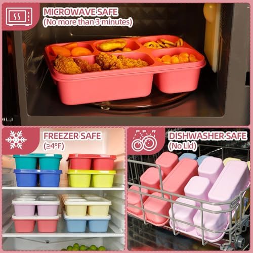 Caperci Large Bento Lunch Boxes for Adults & Kids