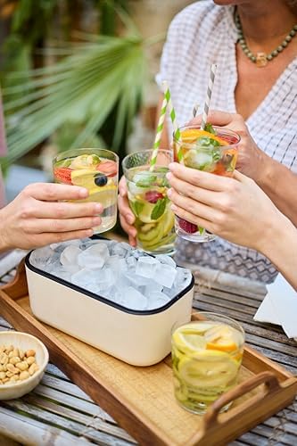 Lékué Ice Box | White | Ice Cube Tray For Freezer With Lid & Bin
