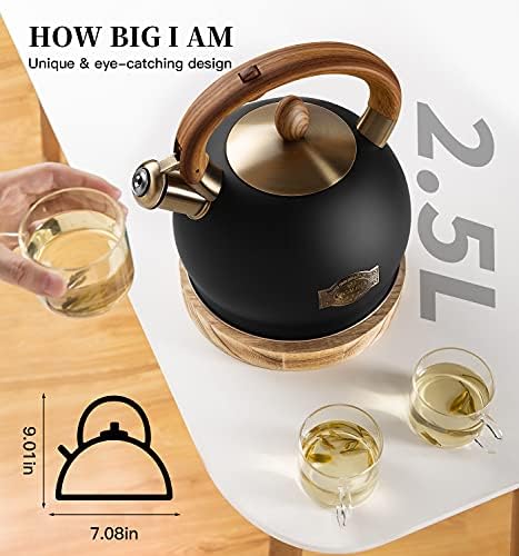 Whistling Tea Kettle 2.64 Quart Black