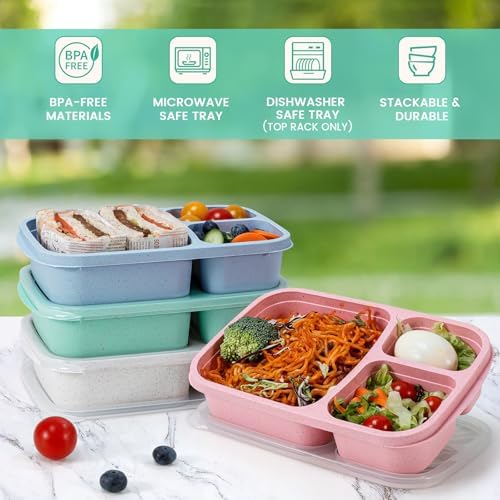 Caperci Wheat Straw Bento Lunch Box Containers for Adults & Kids