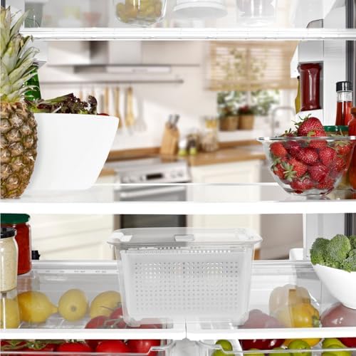 Beavorty Sealing Crisper Storage Container with 2 Compartments