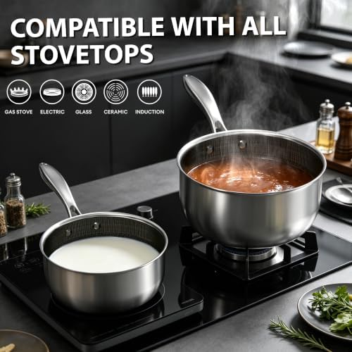 COOKER KING 2 Qt Stainless Steel Saucepan, Small Cooking Pot with Lid