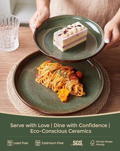 Pokini Stoneware Dinnerware Sets for 4, 12pcs Plates and Bowls Sets