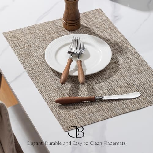 Placemats Set of 4 - Easy Clean Woven Vinyl Placemats for Dining