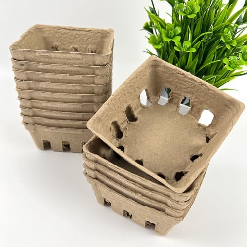 Rainmae 50 Pack Natural Pulp Fiber Berry Basket, Molded Berry Basket