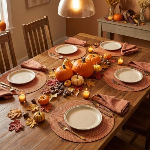Artoid Mode Orange Cotton Polyester Braided Placemats Set of