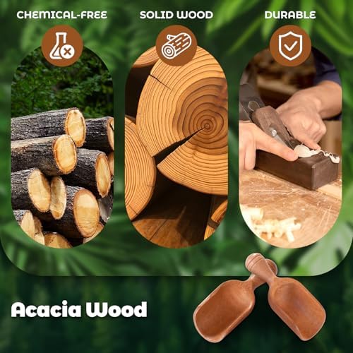 6 Pack Wooden Coffee Scoops for Canisters, 4 Inch Acacia Wood