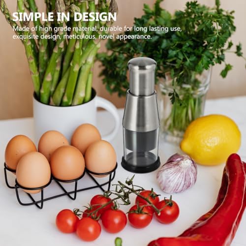 DOITOOL Stainless Steel Garlic Mincer, 6.29 X 2.36 X 2.36 in