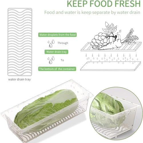 3 Pack 1.5L Fruit Storage Containers with Removable Drain Tray