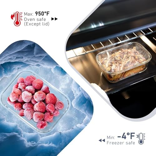 10-Pack Borosilicate Glass Food Storage Containers with Lids