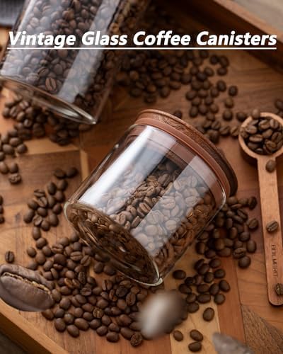 17 oz Coffee Canister with Scoop and Wooden Lids, Airtight Glass