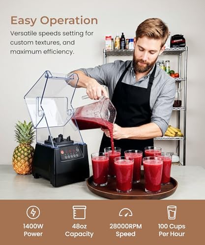 SYBO HS-210E Commercial Blender, 48oz