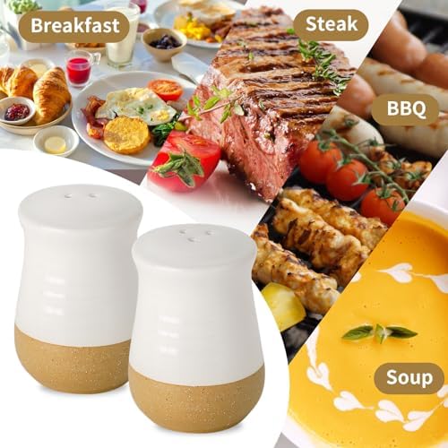 Hasense Ceramic Sugar & Creamer Set + Salt & Pepper Shakers, White