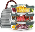 DAS TRUST 3 Pack Bento Box Glass Meal Prep Container 3 Compartment