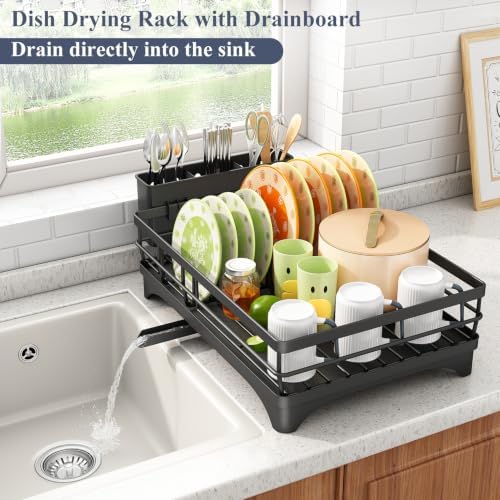 SAYZH Dish Drying Rack with Utensil Holder, Black