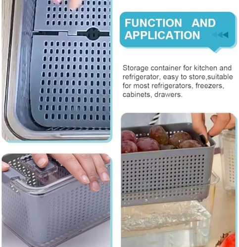 Fresh Food Storage Container Refrigerator Organizer Bin Medium Vent