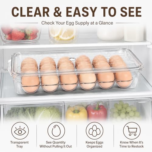 2-Pack 18-Egg Refrigerator Holders with Lids