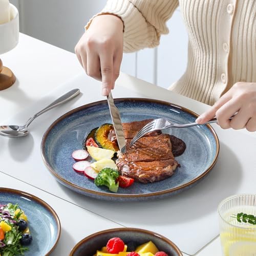 vancasso PLAYA Plates and Bowls Sets, 24 Pieces Grey-Blue Dinnerware Sets for Kitchen, Reactive Glaze Dishes Set for 8, Dishwasher and Microwave Safe