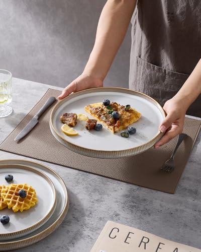 famiware Star 10/8 inches Dinner Plates Set for 6, Cappuccino White