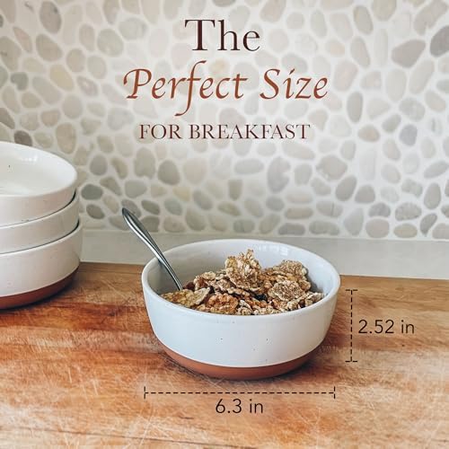 Set of 4 Porcelain Bowls, 25oz - Microwave, Dishwasher & Oven Safe for