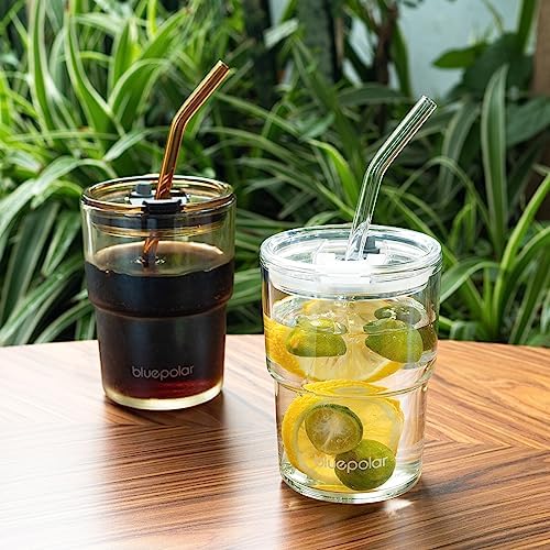 BLUEPOLAR 13oz/400ml Glass Water Tumbler with Straw and Lid Sealed