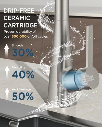 FORIOUS Kitchen Faucet with Pull Down Sprayer, Classic Stainless Steel
