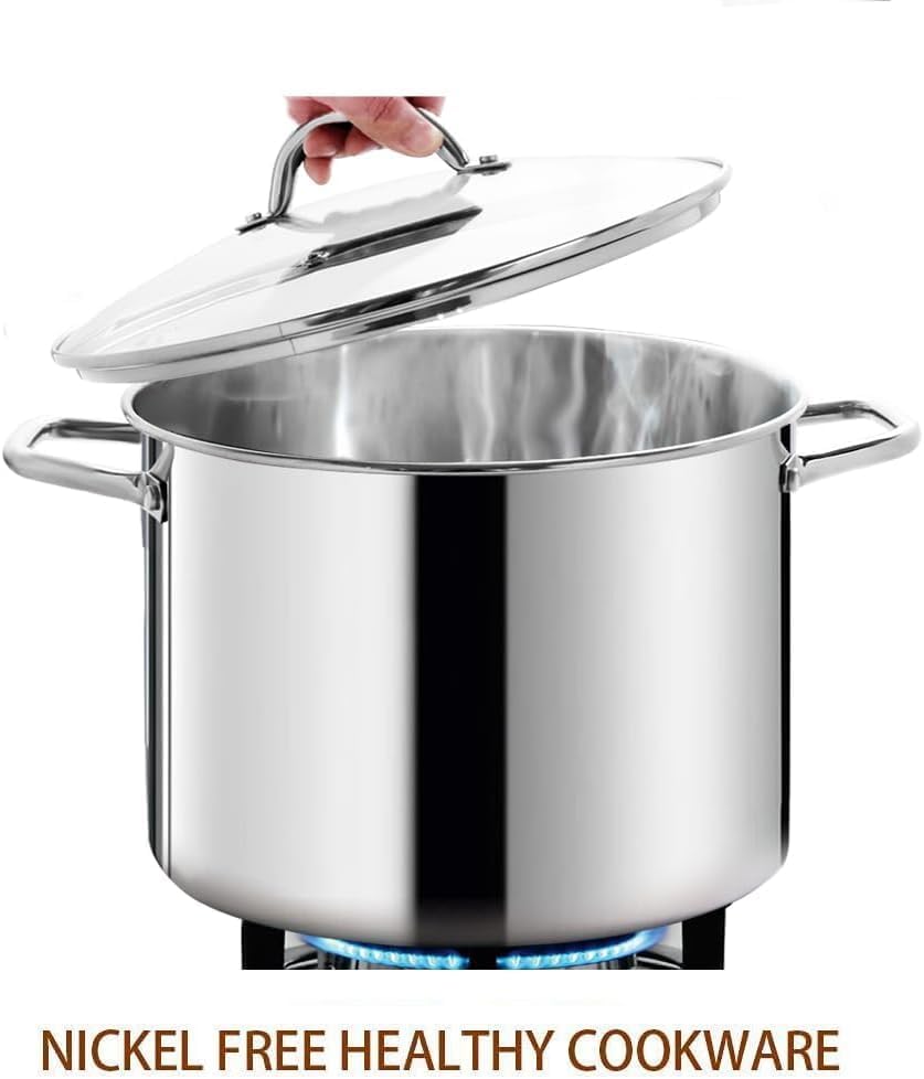 HOMICHEF 12 Quart LARGE Stock Pot with Glass Lid - NICKEL FREE