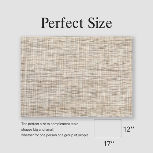 Placemats Set of 4 - Easy Clean Woven Vinyl Placemats for Dining
