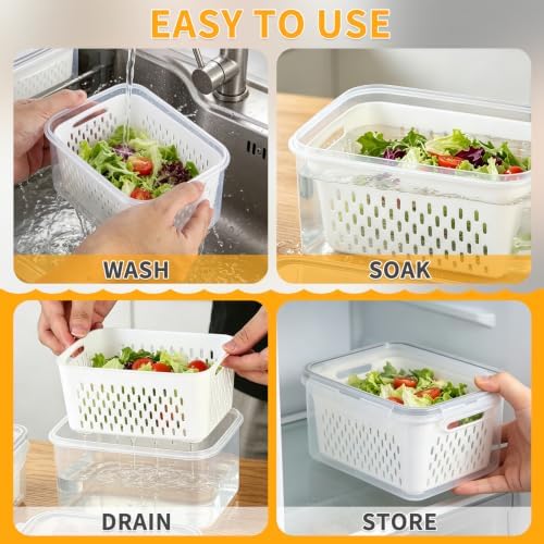 Salad Storage Containers for Refrigerator, 3 Pack