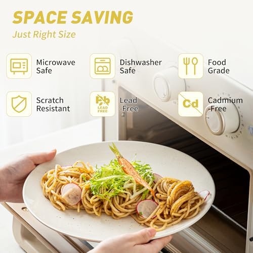Dafuceramic Plates and Bowls Sets, 12 Pieces Modern Stoneware