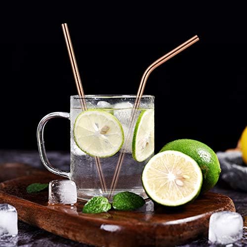 StrawExpert Set of 16 Reusable Stainless Steel Straws with Travel Case