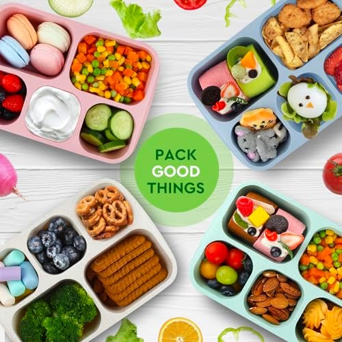 Bento Lunch Boxes - Reusable 5-Compartment Food Lunchables Containers