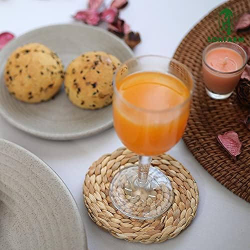 10pcs Water Hyacinth Absorbent Coasters for Drinks, Woven Coasters for